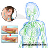 Metiz Diamond Lymphvity Magnetherapy Earrings